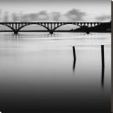 Bridge and Poles in Black and White Stretched Canvas Print by Shane Settle