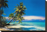 Tropical Beach Stretched Canvas Print