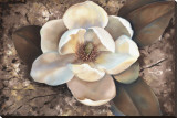 Magnolia II Stretched Canvas Print by Louise Montillio