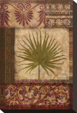Ornamental Palm I Stretched Canvas Print by Gene Ouimette