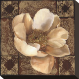 White Peony I Stretched Canvas Print by Louise Montillio