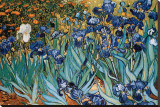 Irises, Saint-Remy, c.1889 Stretched Canvas Print by Vincent van Gogh Irises, Saint-Remy, c.1889 Stretched Canvas Print by Vincent van Gogh