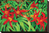 Just Lilies Reproduction transférée sur toile : par Pamela Jablonski