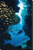 Buceo Reproducción en lienzo de la lámina Buceo Reproducción en lienzo de la lámina