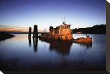 Gold Beach Sunk Boat Stretched Canvas Print by Shane Settle