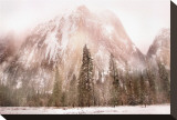 Beyond The Forest Leinwand von Harold Davis