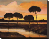Sunset over the Arno River Stretched Canvas Print by Judith D'Agostino