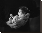 Handful Stretched Canvas Print by Linda Johnson