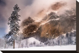 Indomitable Leinwand von Harold Davis