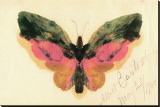 Butterfly Stretched Canvas Print by Albert Bierstadt
