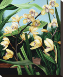Yellow Orchids Stretched Canvas Print by Pamela Jablonski