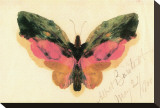 Butterfly Stretched Canvas Print by Albert Bierstadt