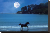 Moonlight Run Leinwand von Stephanie Laird