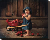 How Do You Like Them Apples Stretched Canvas Print by Linda Johnson
