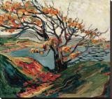 Tree in Autumn Stretched Canvas Print by Emily Carr