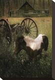 Wagon Pony Reproduction transférée sur toile par Steve Hunziker