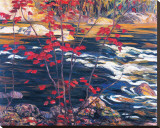 L'érable rouge Reproduction transférée sur toile par A. Y. Jackson