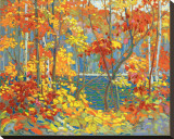 The Pool Stretched Canvas Print by Tom Thomson
