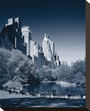 New York Central Park Stretched Canvas Print