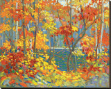The Pool Stretched Canvas Print by Tom Thomson