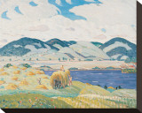 Haytime Near Knowlton Stretched Canvas Print by Albert H. Robinson