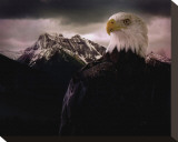 Eagle Mountain Stretched Canvas Print by Steve Hunziker