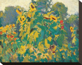 Sunflowers, Thornhill Stretched Canvas Print by J. E. H. MacDonald