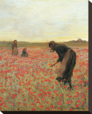 Girls in Poppy Field Stretched Canvas Print by Lawren Morris