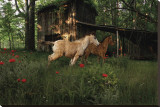 Fleeting Youth Stretched Canvas Print by Steve Hunziker Fleeting Youth Stretched Canvas Print by Steve Hunziker
