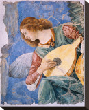 Angelo Musicante Stretched Canvas Print by Melozzo da Forlí 