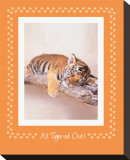 All Tiger-Ed Out Stretched Canvas Print by Rachael Hale