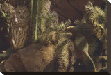 Prickly Pair Stretched Canvas Print by Steve Hunziker