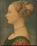 Portrait of Ignota, c.1433-1489 Stretched Canvas Print by Antonio Pollaiolo