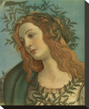 Minerva (detail) Stretched Canvas Print by Sandro Botticelli