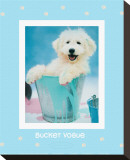 Bucket Vogue Stretched Canvas Print by Rachael Hale