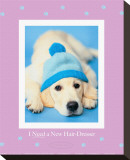 I Need a New Hairdresser Stretched Canvas Print by Rachael Hale
