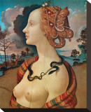 Rittrato di Simonetta Vespucci Reproduction transférée sur toile : par Piero di Cosimo 