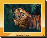 Tiger Impressão em tela esticada por Tom Arma
