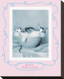 Bowl Dwellers Stretched Canvas Print by Rachael Hale