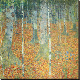 Birkenwald, ca.1903 Leinwand von Gustav Klimt