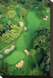 Golf Course Stretched Canvas Print