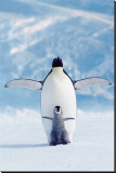 Penguin and Chick Stretched Canvas Print