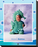 Baby Seahorse Reproduction transférée sur toile par Tom Arma