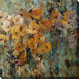 Amber Poppy Field II Stretched Canvas Print by Tim O'toole