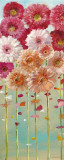 Daisies Spring I Prints by Danhui Nai