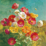 Poppies in the Field Posters par Danhui Nai