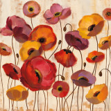 Sunrise Anemones Posters par Silvia Vassileva