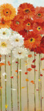 Daisies Fall II Poster by Danhui Nai