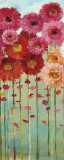 Daisies Spring II Print by Danhui Nai