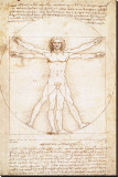 Vitruvius Man Płótno naciągnięte na blejtram - reprodukcja autor Leonardo da Vinci